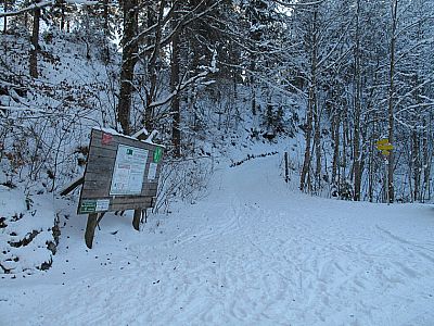 Wir starten unsere Tour am Waldparkplatz