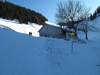 Wir erreichen die Seelacher Alm