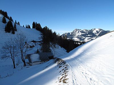 Rückblick zur Seelacher Alm