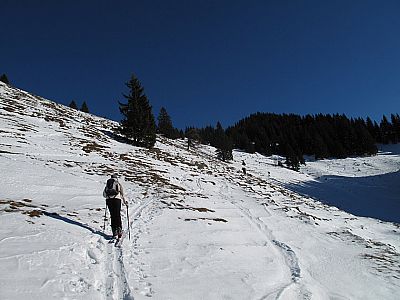 Mitte Januar und kaum Schnee