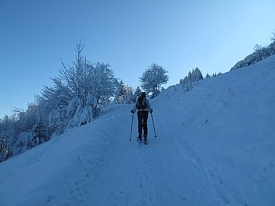 Der breite Forstweg wird uns die meiste Zeit begleiten