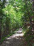 In der Folgezeit leitet uns der Weg...