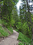 ...in vielen Kehren durch den Bergwald bergauf