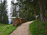Der Wald lichtet sich...