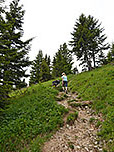 ...wandern wir zügig bergauf