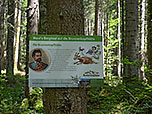 Wissenswertes zur Geschichte der Brunnenkopfhütte