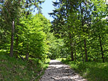 Der Forstweg...