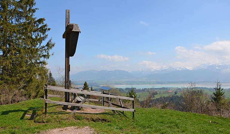Buch (1055 m) - Zwieselberg von Roßhaupten