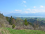 Blick über den Forggensee zu den Ammergauer Alpen...