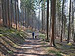 ...und folgen einem Karrenweg westwärts
