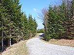 In Kehren leitet uns der Weg bergab