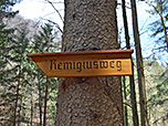 ...und dort eine Verzweigung