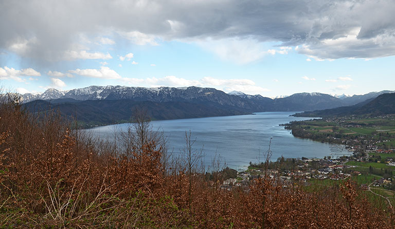 Buchberg (808 m) am Attersee