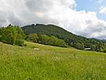 Der Buchenberg