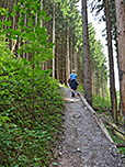 ...und folgen dem Waldpfad...