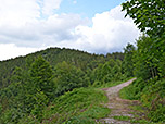 Blick zum Buchenberg