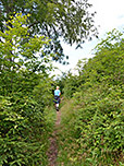 ...durch den Wald