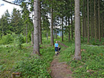 Wir folgen dem Waldweg...