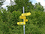Die Wege zum Buchenberg sind bestens beschildert