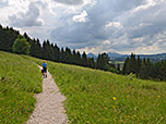 Nun wenden wir uns dem Bergwald zu