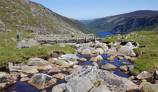 Mount Camaderry (698 m)