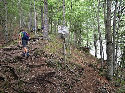 Hier biegen wir links zum Aussichtspunkt ab