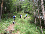 Schnell gewinnen wir im Wald an Höhe