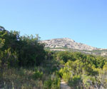 Capu di a Veta