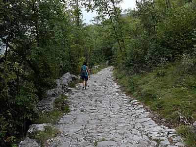 Ein breiter Weg führt uns erneut zur Straße