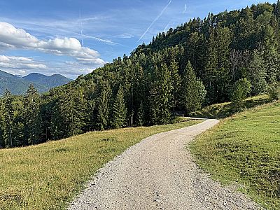 ...folgen wir dem Fahrweg hinunter...