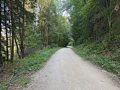 ...zum Bergwald