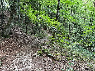 ...leitet uns der kleine Weg...