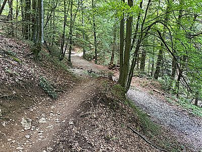 ...hinunter zu einem Querweg