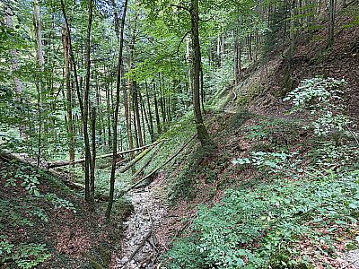 Vorschaubild 10