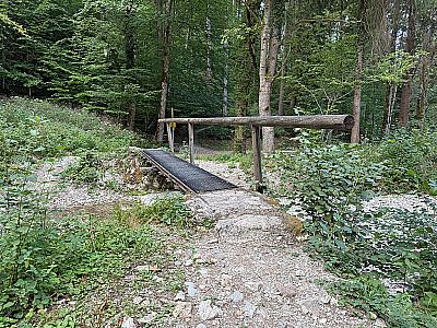 ...hinunter zum Bachgraben