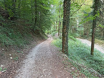 ...und spazieren im Anschluss nordostwärts