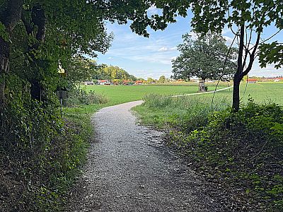 Schließlich lassen wir den Bergwald hinter uns