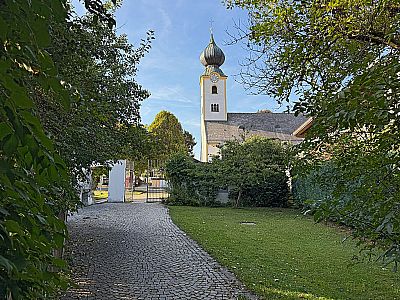 Vorschaubild 11