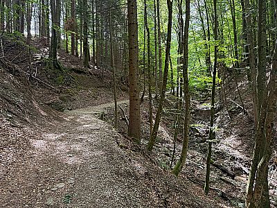 Wir folgen dem Grießenbach...