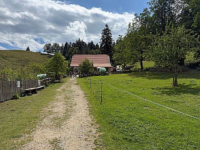 Vorschaubild 3