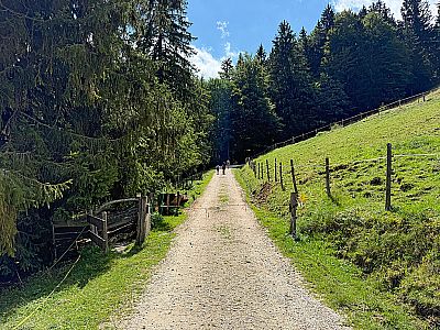 ...und folgen dem Karrenweg...