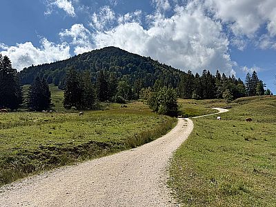 Wir wandern auf den Staffen zu...