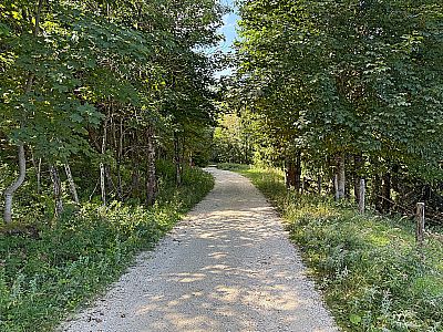 ...erreichen wir wieder den Bergwald...