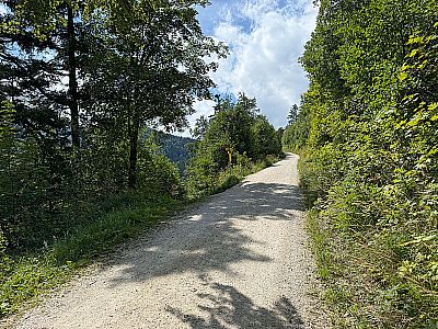 Die Abzweige zur Staffnalm...