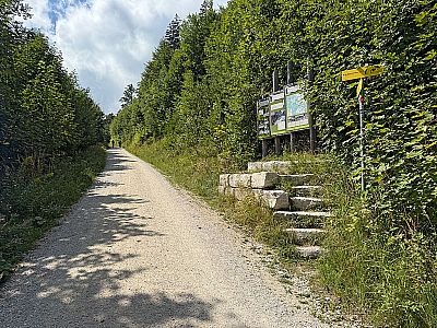 ...und zum Walderlebnisweg ignorieren wir