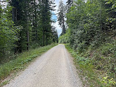 Nach einer Schranke...
