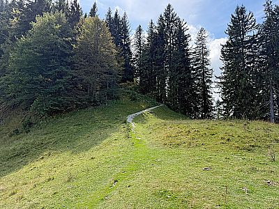 ...bringt uns auf den Wiesensattel zwischen dem Friedenrath und dem Haberspitz
