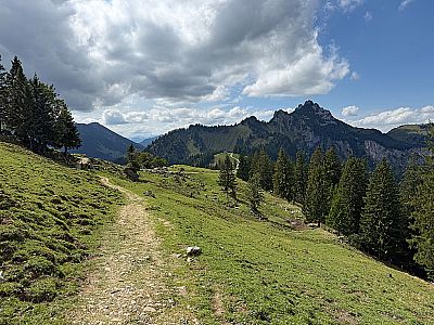 Mit Blick zur Kampenwand steuern wir auf einen breiten Querweg zu
