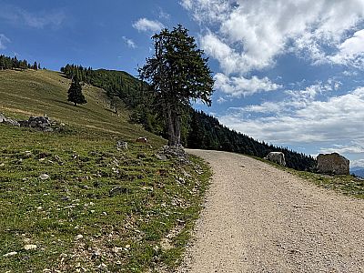 ...und folgen dem breiten Fahrweg bergauf