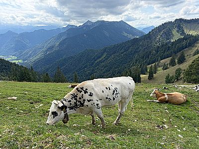 Vorschaubild 6